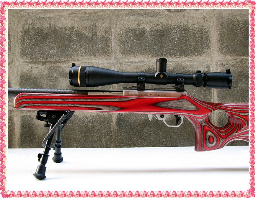 Stock Chaigun Shop Laminated Gunstock