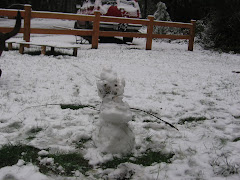Rex's snowman
