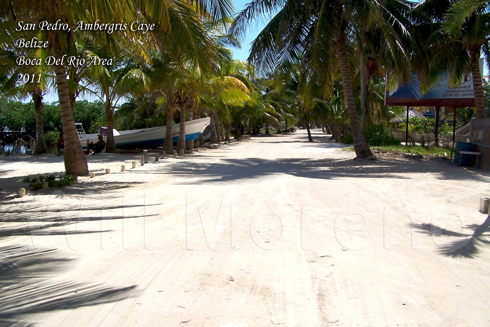 Platinum International Real Estate and Investments Belize Division