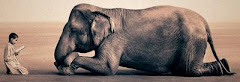 Elefante