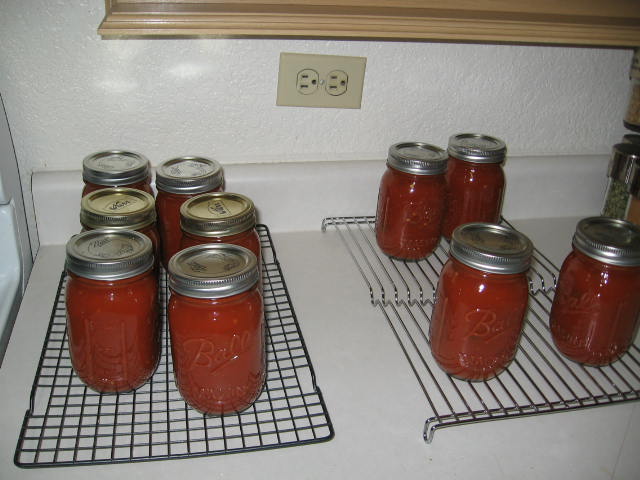 Homemade Copycat Pace Picante Sauce Recipe: Perfect For Canning