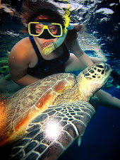 Snorkeling with a Sea Turtle
