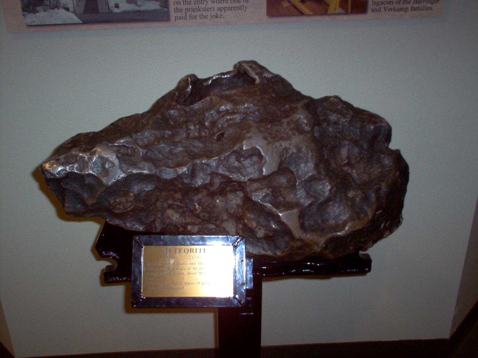 [IM000926.JPG]