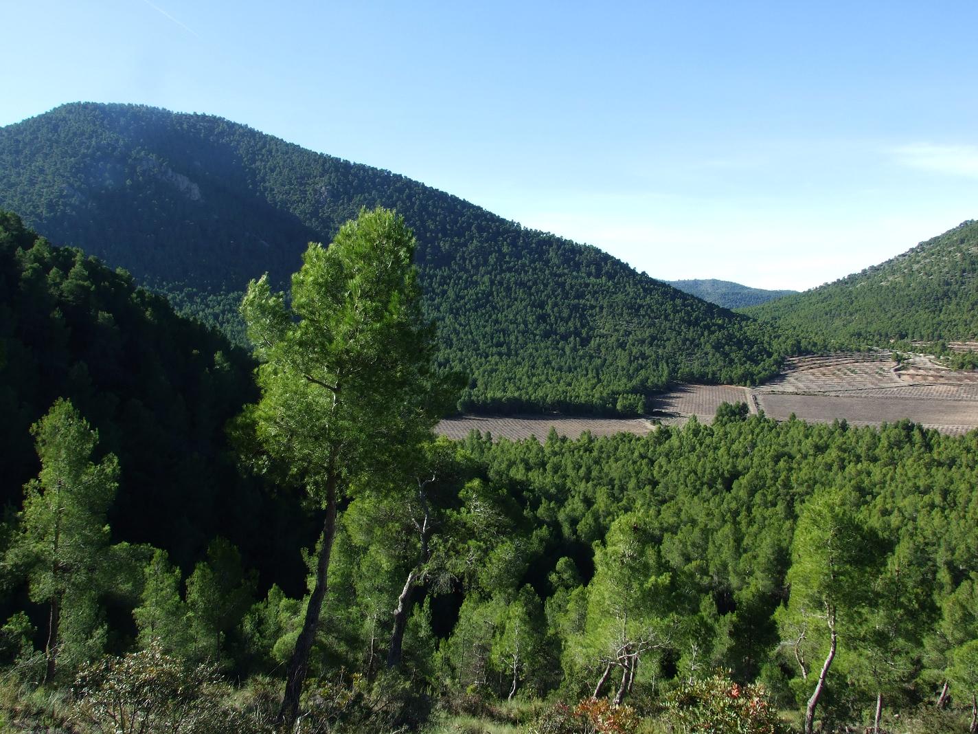 Próxima ruta Sierra de Lavia Club Senderista de Lorca 