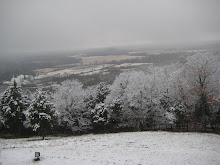 Another View of Winter