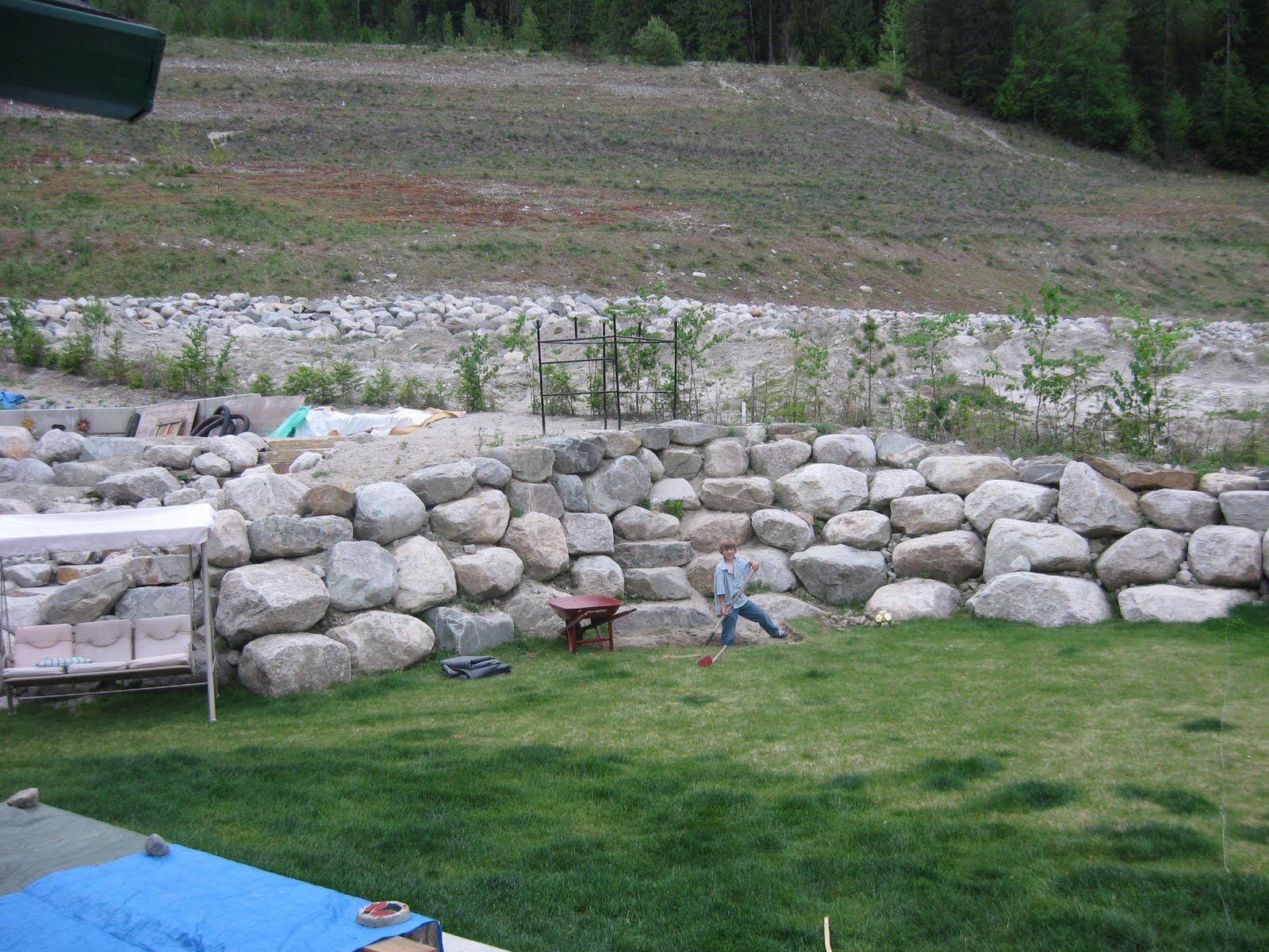backyard-pond-3.jpg