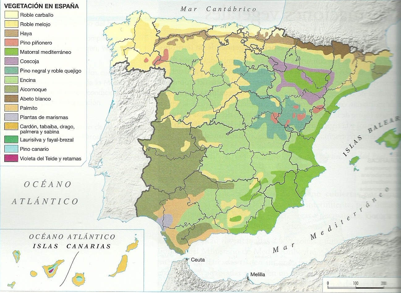 GEOGRAFÍA Regiones biogeográficas de España GEOGRAFÍA Regiones biogeográficas de España