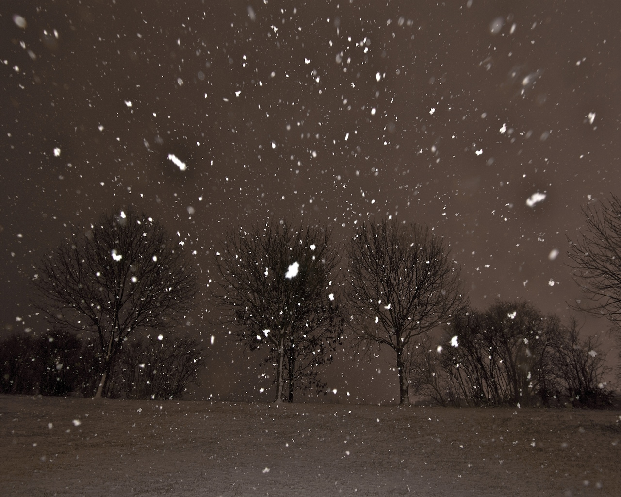 Шум падающего снега. Ночная метель. Снегопад. Снегопад ночью. Хлопья снега.