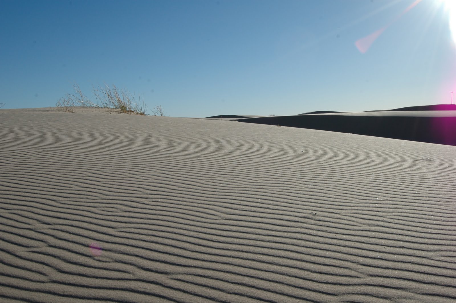 sand+dunes+029.jpg