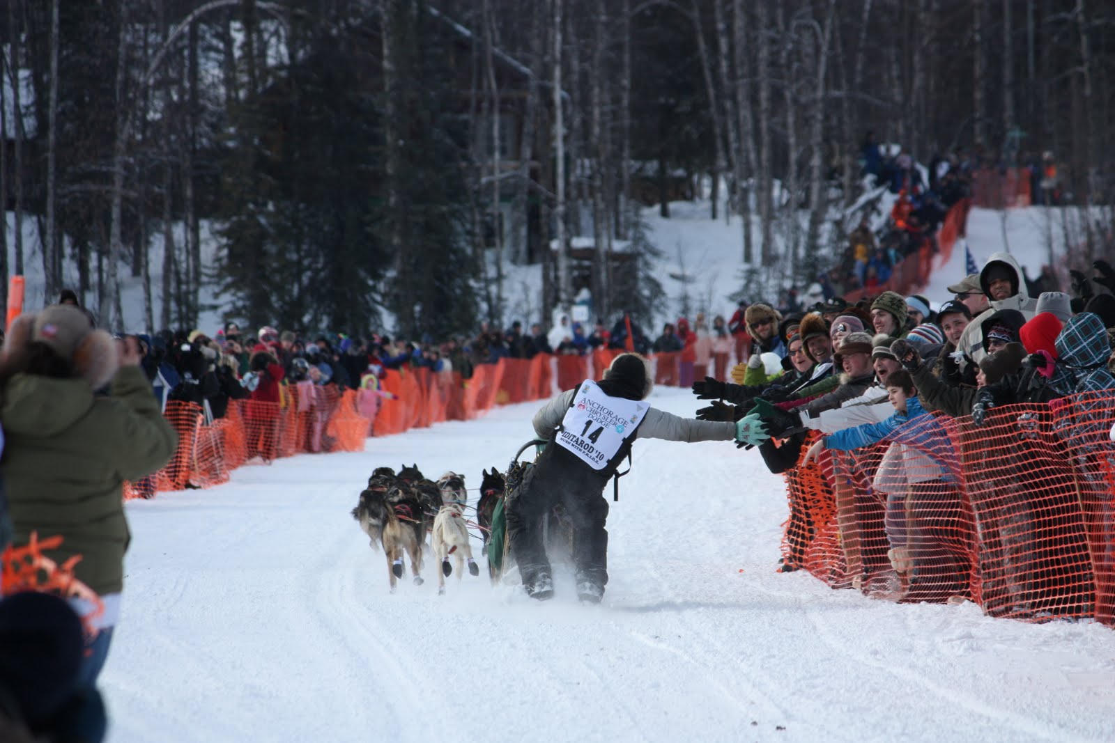 Sheryl's Great Adventure Iditarod ReStart in Willow, AK