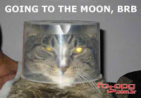 Gato com a cabeça enfiada numa vasilha se passa por astronauta