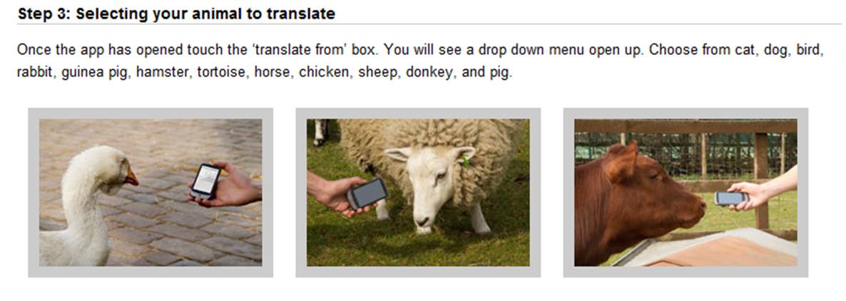 nick burcher: Google Animal Translate - April Fools Day 2010!