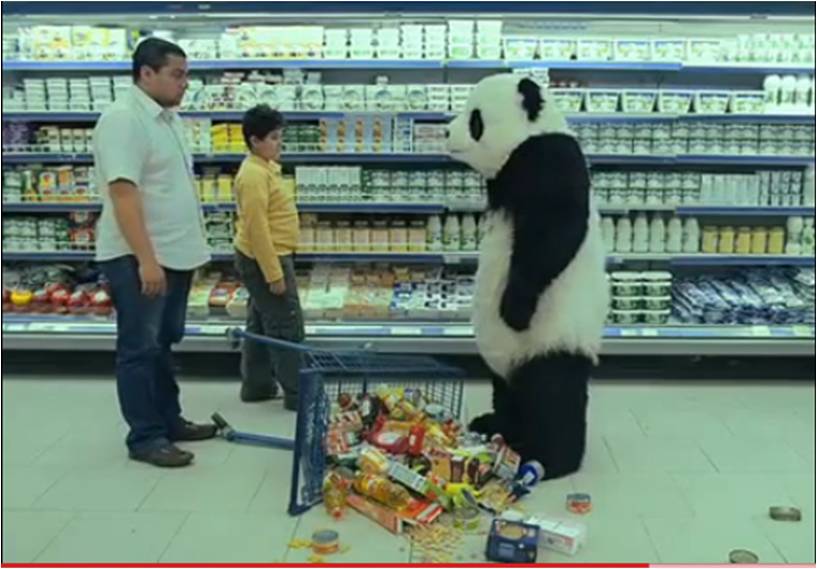 Panda+Cheese+ad.jpg