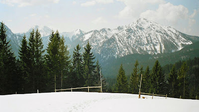 4 Ochsenkamp, Auerkamp von der Wachselmoosalm 
