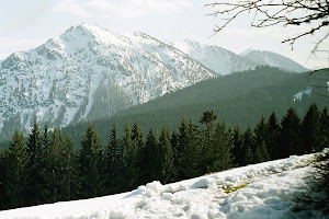 7 Bad Wiessee - 7 Ochsenkamp, Auerkamp, Seekarkreuz und Schönberg 