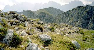 Gipfelblick zum Wilden Kaiser 09