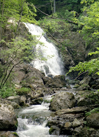 Naturpark Ötscher wandern Puchenstuben Tormäuer Ötschergräben