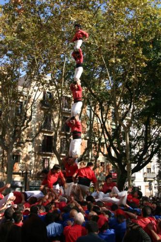 [1226326472933_f.jpg]