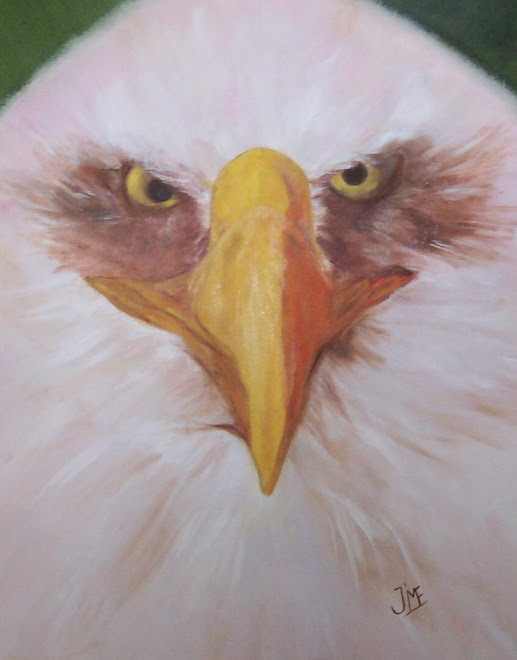 As Eagle Sees