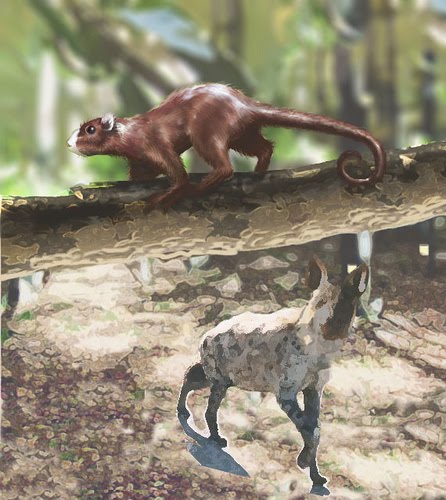 [3705289364_f4dcb9bdf3.bmp]