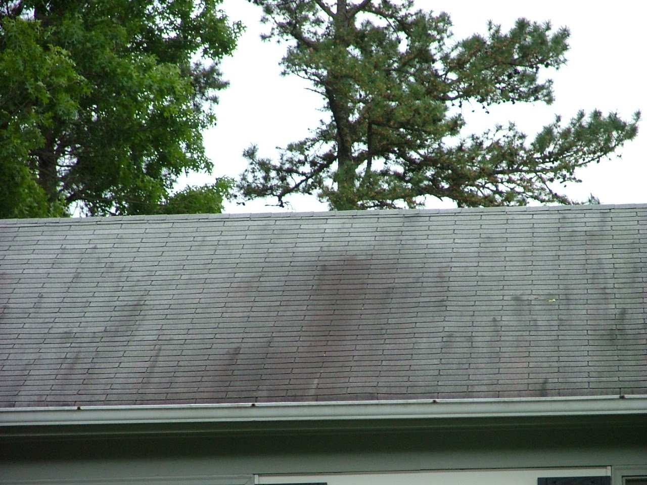 Black Spots on my Roof