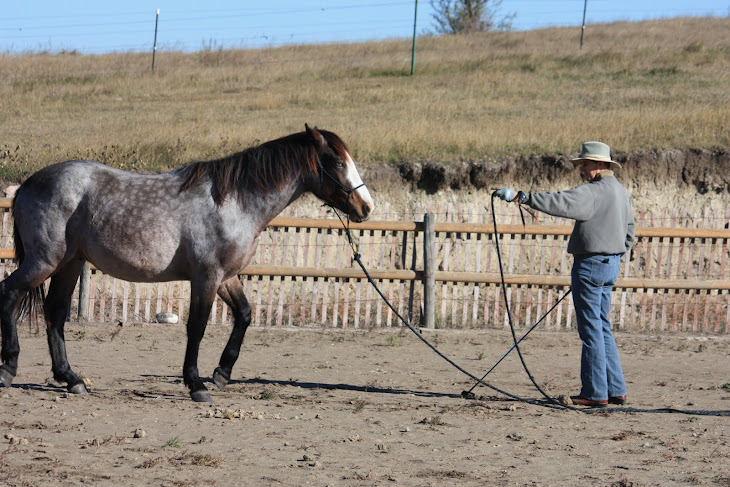 MORE TRAINING FOR HAWK