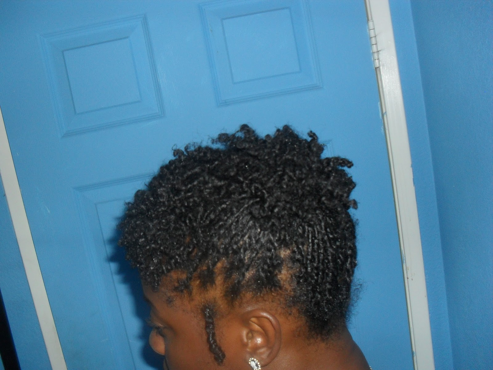 Natural Free & Fierce Hair styles tutorials Mini twists updos