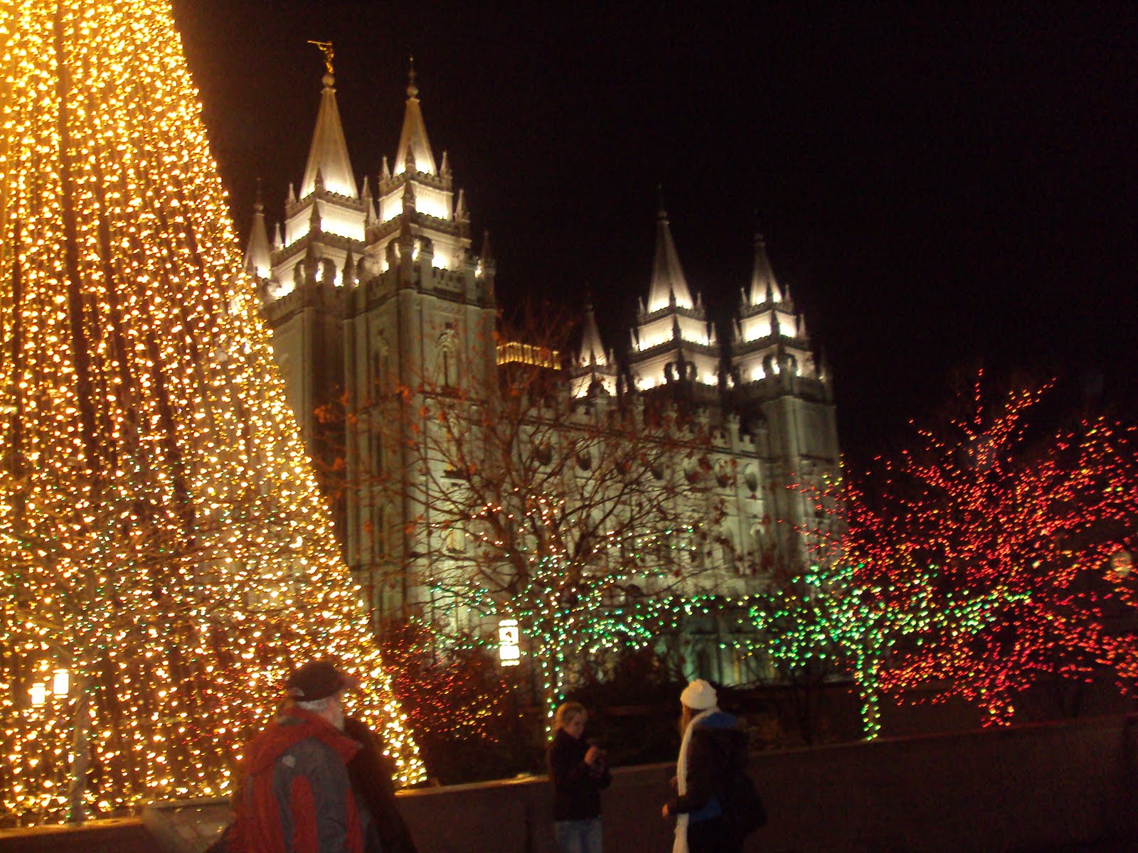 Erin Bowman Salt Lake City Temple Lights