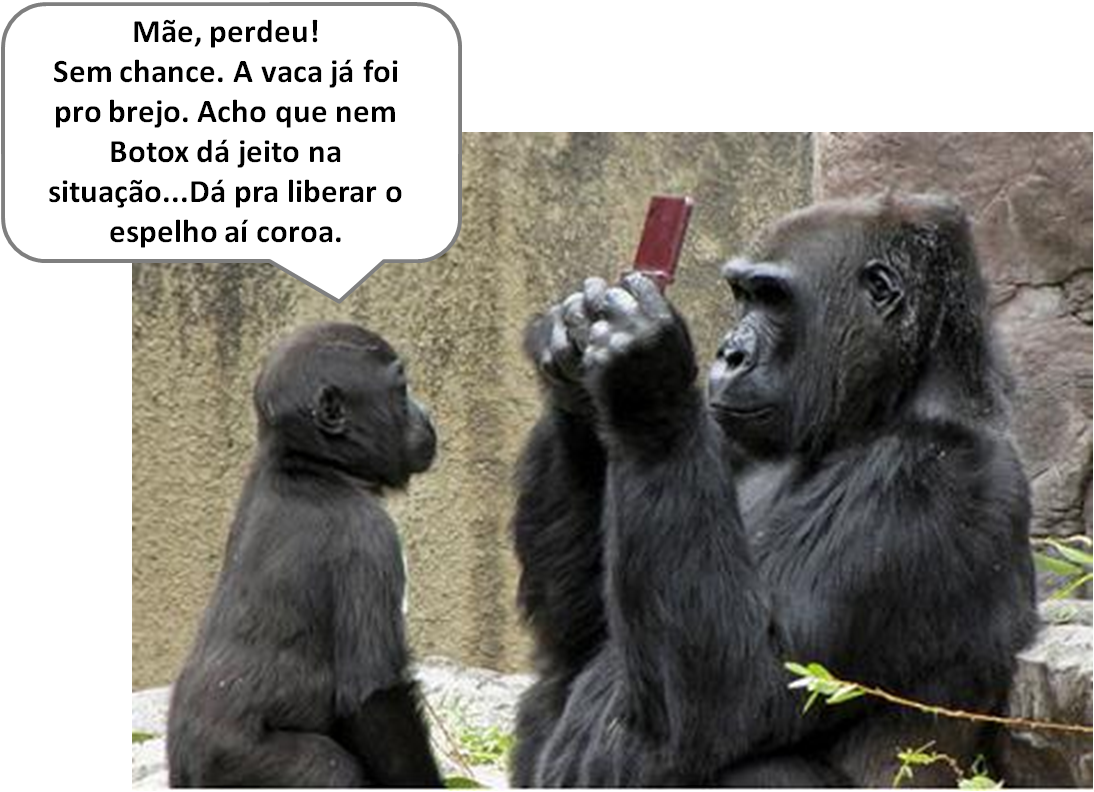 TEXTOS ENGRAÇADOS e CRONICAS ENGRAÇADAS Jogando Pipoca no Zoológico