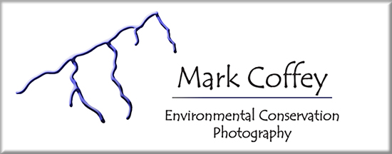 Mark Coffey Environmental Conservation Photography