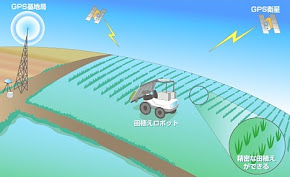 Autonomous Agricultural Robot and its Row Guidance