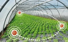 A Wireless Design of Low-Cost Irrigation System Using ZigBee Technology