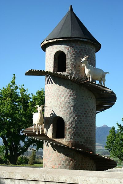 [goat-tower.jpg]