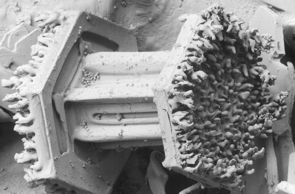 [SEM+snow+crystal.jpg]