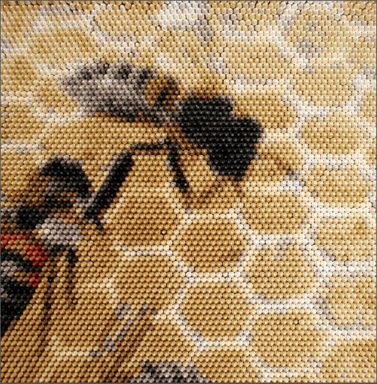 [crayon+bees+bottom.jpg]