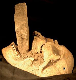 [vampire+burial.jpg]