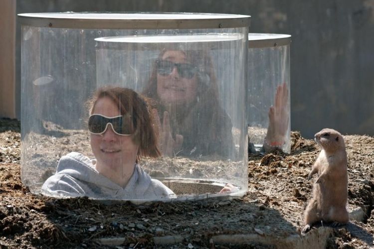 [visiting+the+zoo.jpg]