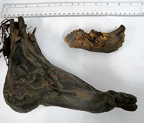 [Dublin+severed+feet.jpg]