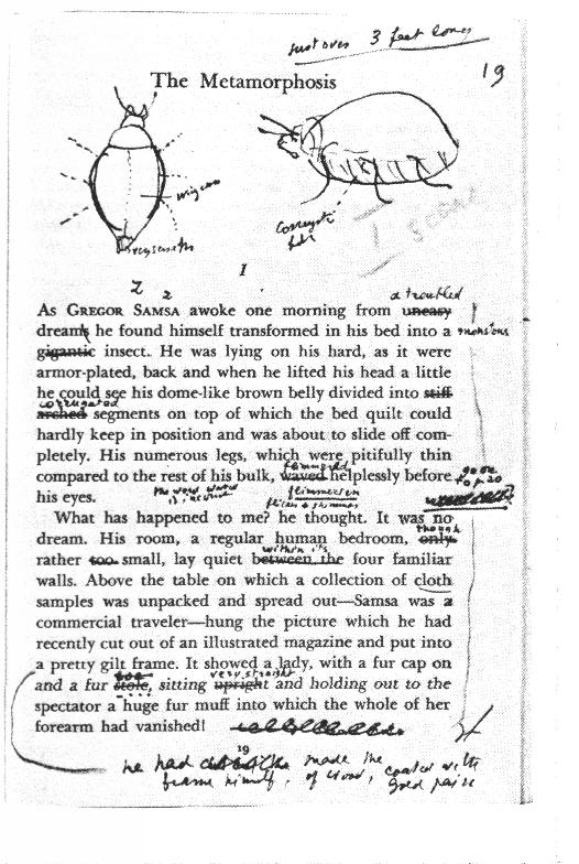 [Nabokov+edits+Kafka.jpg]