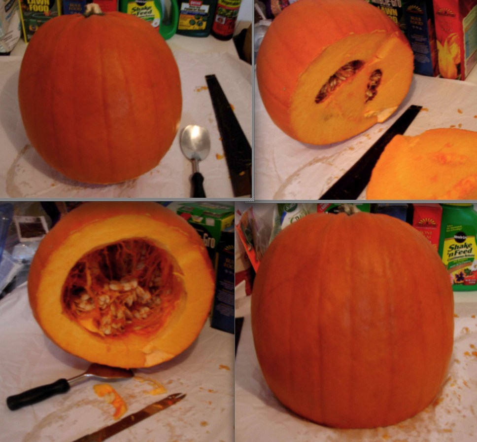 [flat-bottomed+pumpkin.jpg]