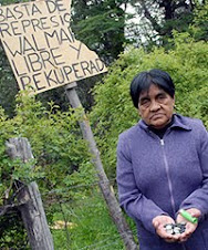 UNA FAMILIA MAPUCHE, ANCESTRAL PROPIETARIA DE SUS TIERRAS EN NEUQUEN, FUE DESALOJADA A TIROS-Villa