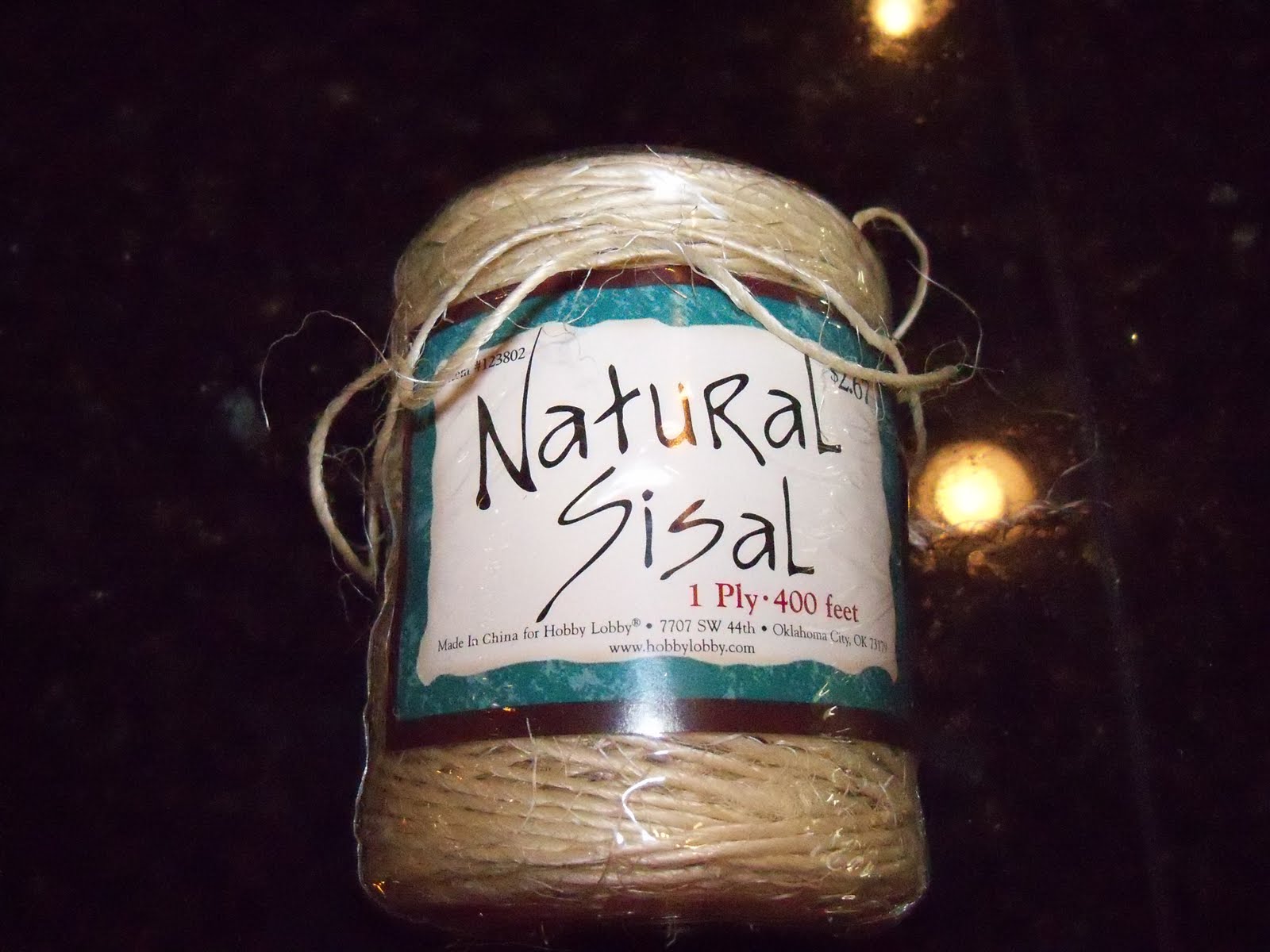 [florida+spring+break+2010+023.JPG]