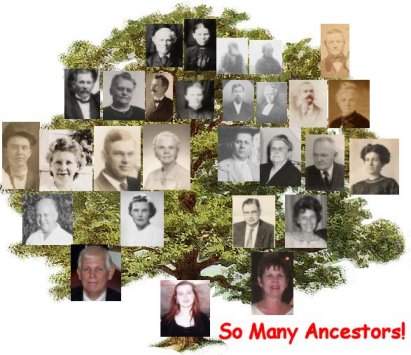 So Many Ancestors!