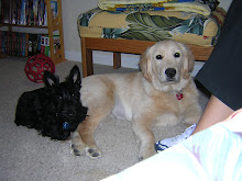 Ellie May & Lucielle Ball