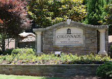 Colonnade At White Columns