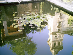 Reflejo en un estanque de La Alhambra...
