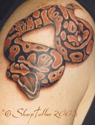 women try to show this work of art that varian tattoo, snake and the sword