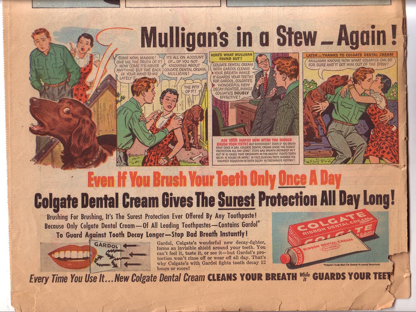 [Untitled-Scanned-03.jpg]