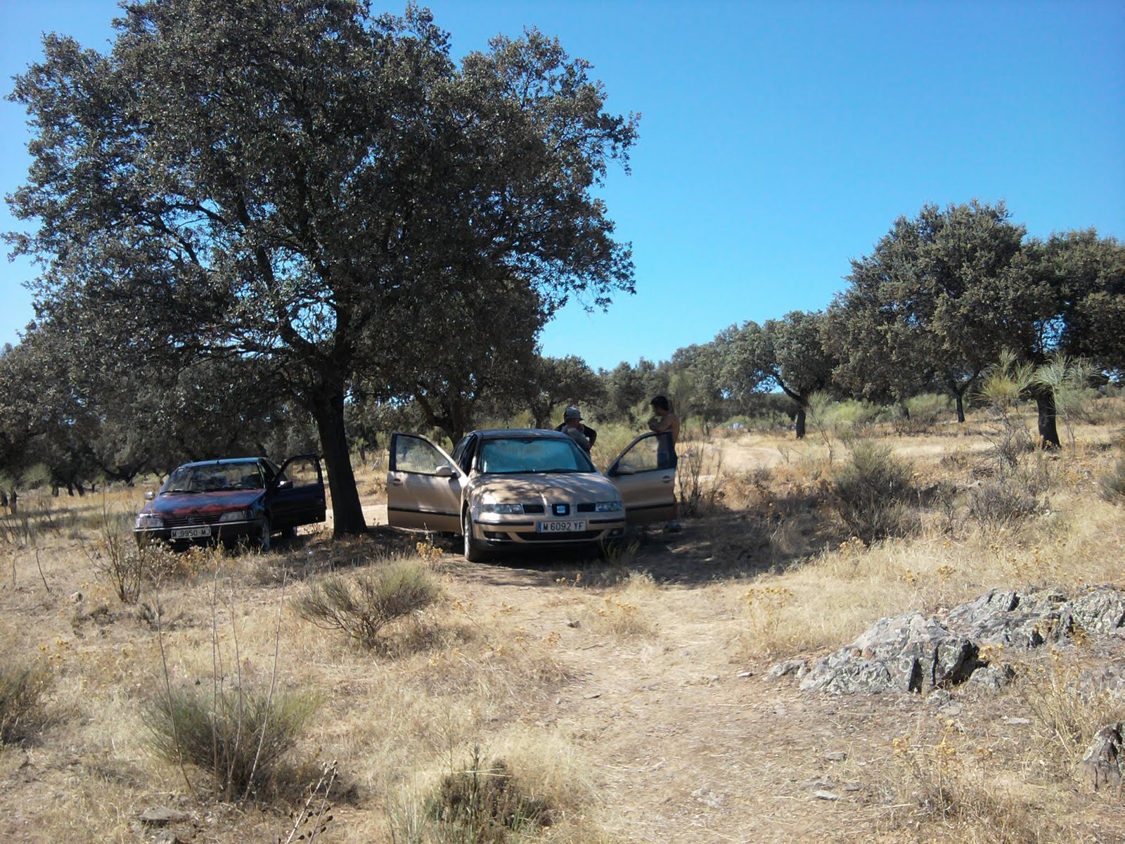 LucioBass Jornada 39 Embalse de TorrejónTajo 28082010