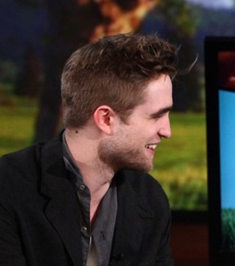 480px x 545px - Robert Pattinson Intoxication: Rob and Kristen- What You See ...